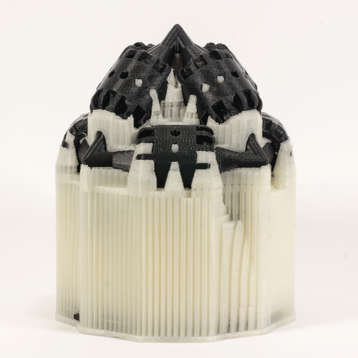 PolyDissolve™ S1
