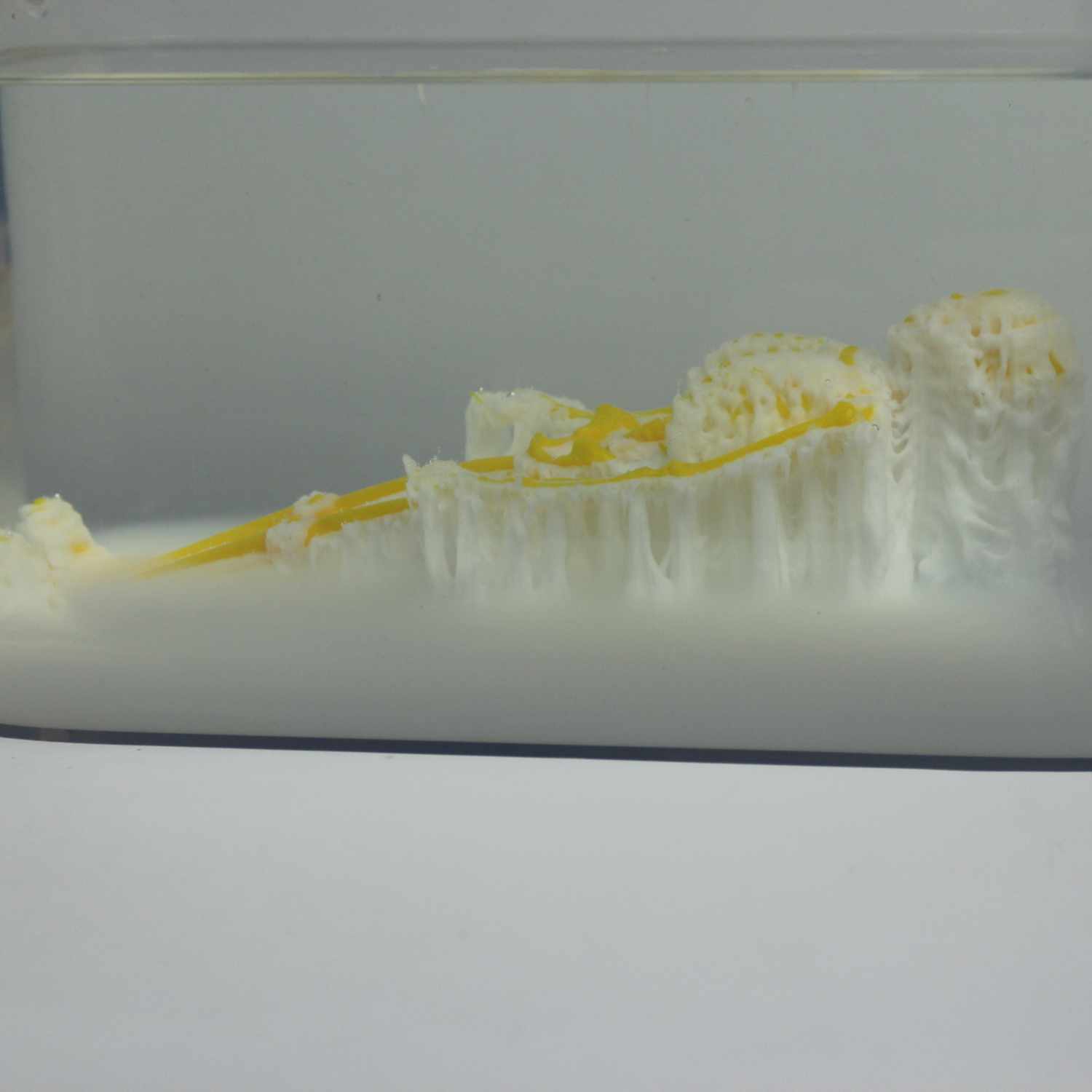 PolyDissolve™ S1